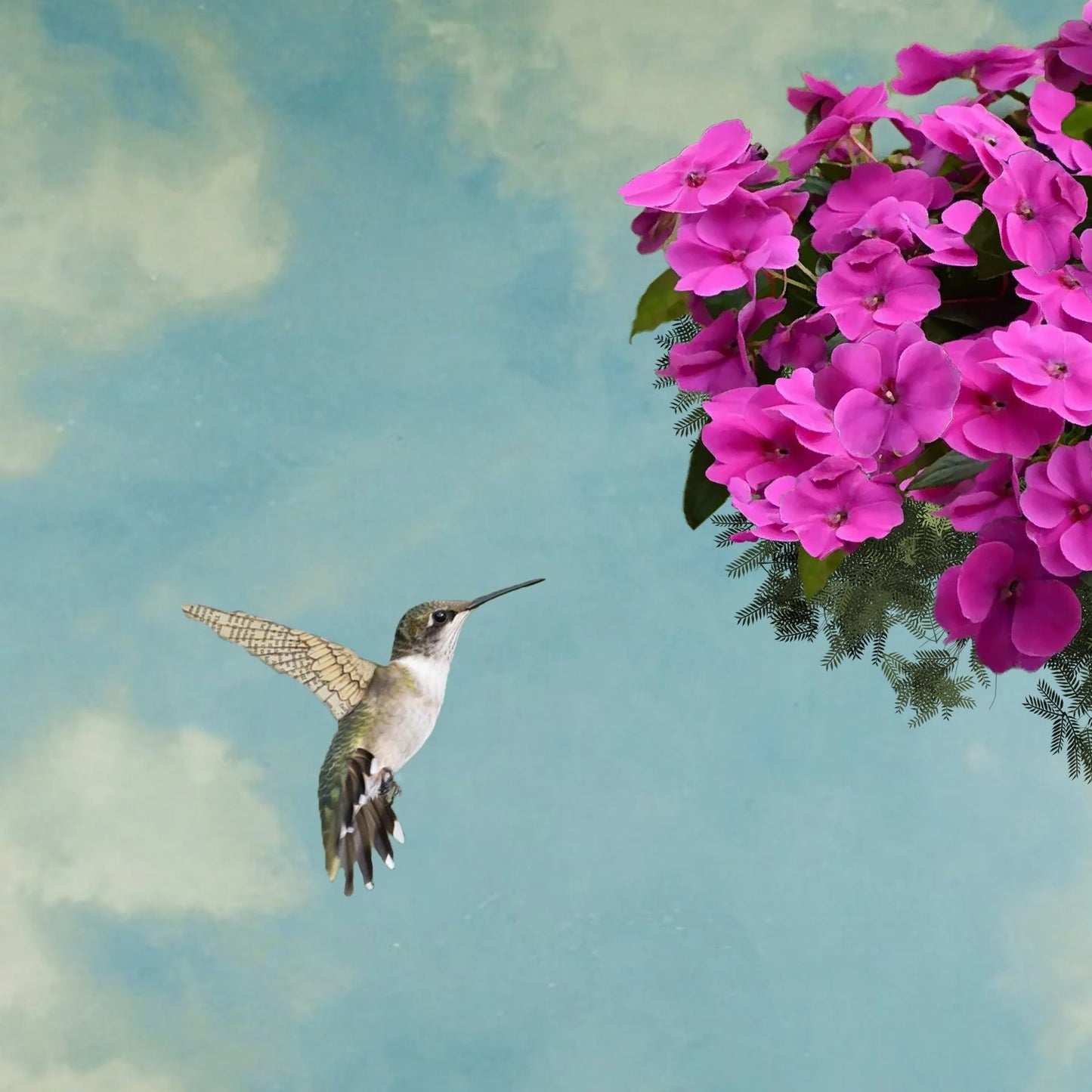 Hummingbird Art Block