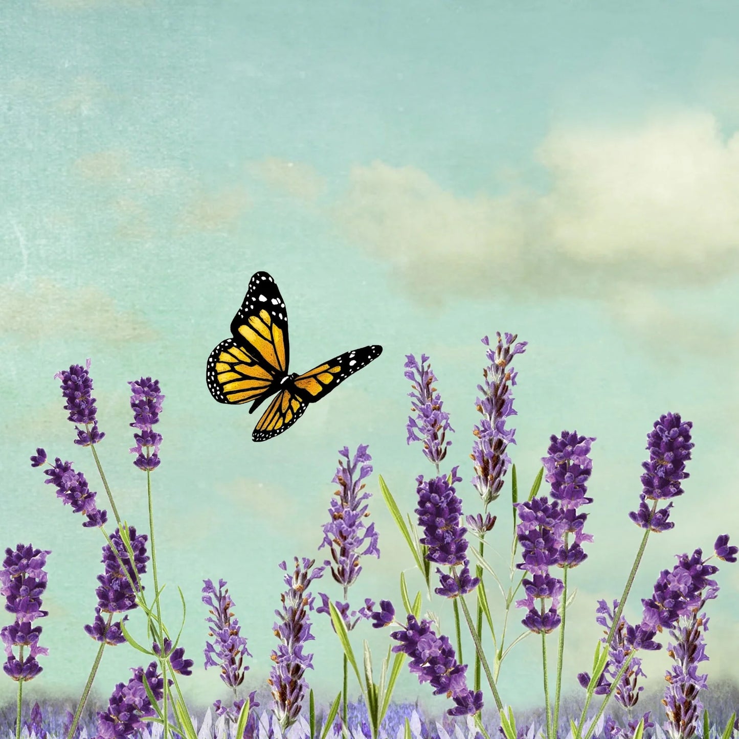Lavender Butterfly Art Block