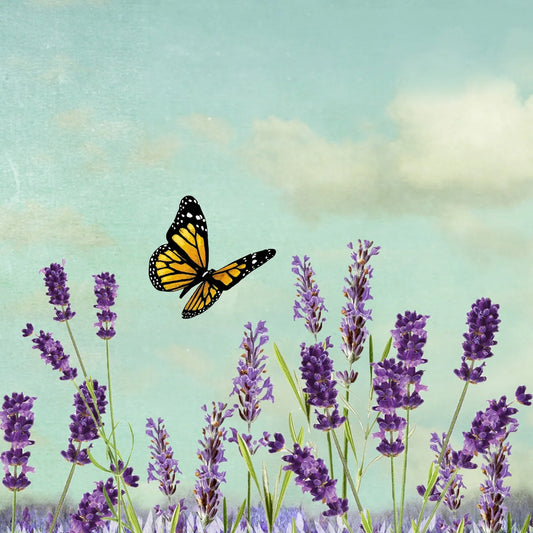 Lavender Butterfly Art Block