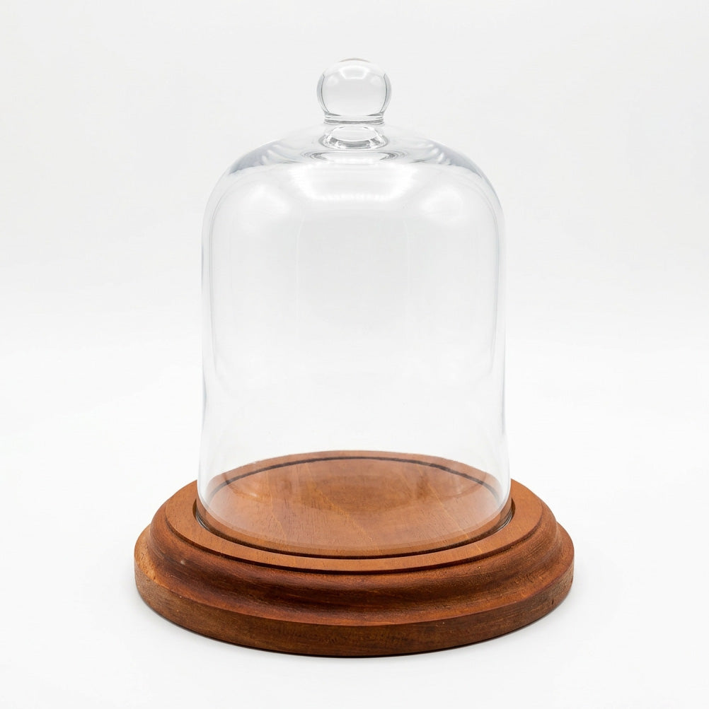 Glass Cloche with Wooden Base