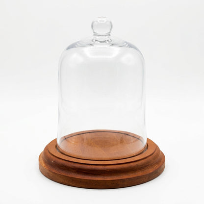 Glass Cloche with Wooden Base