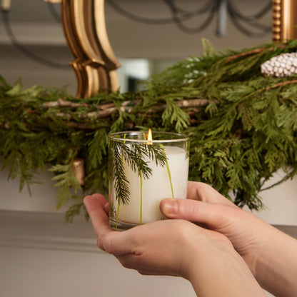 Frasier Fir Pine Needle 6.5 oz Candle