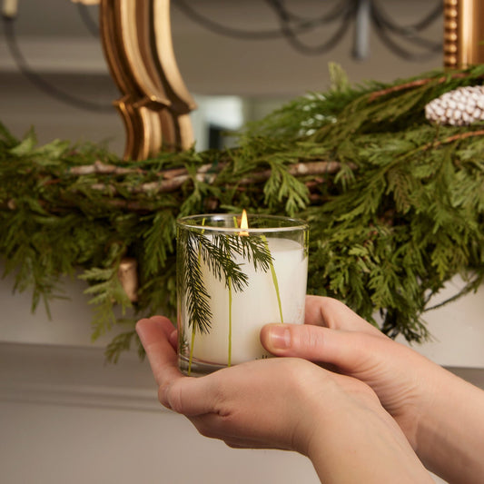Frasier Fir Pine Needle 6.5 oz Candle