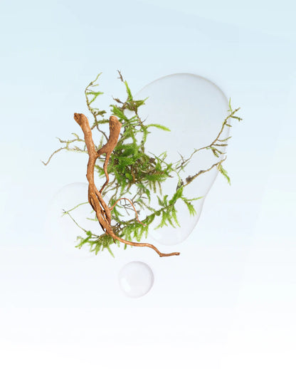 The Hamptons Scent Stems