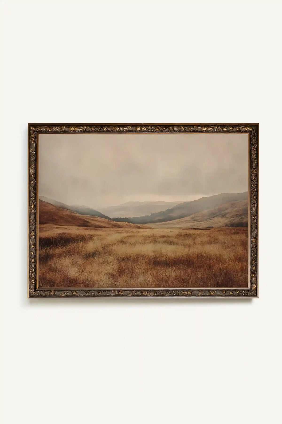 Earth Dream Framed Canvas Print 24 x 18