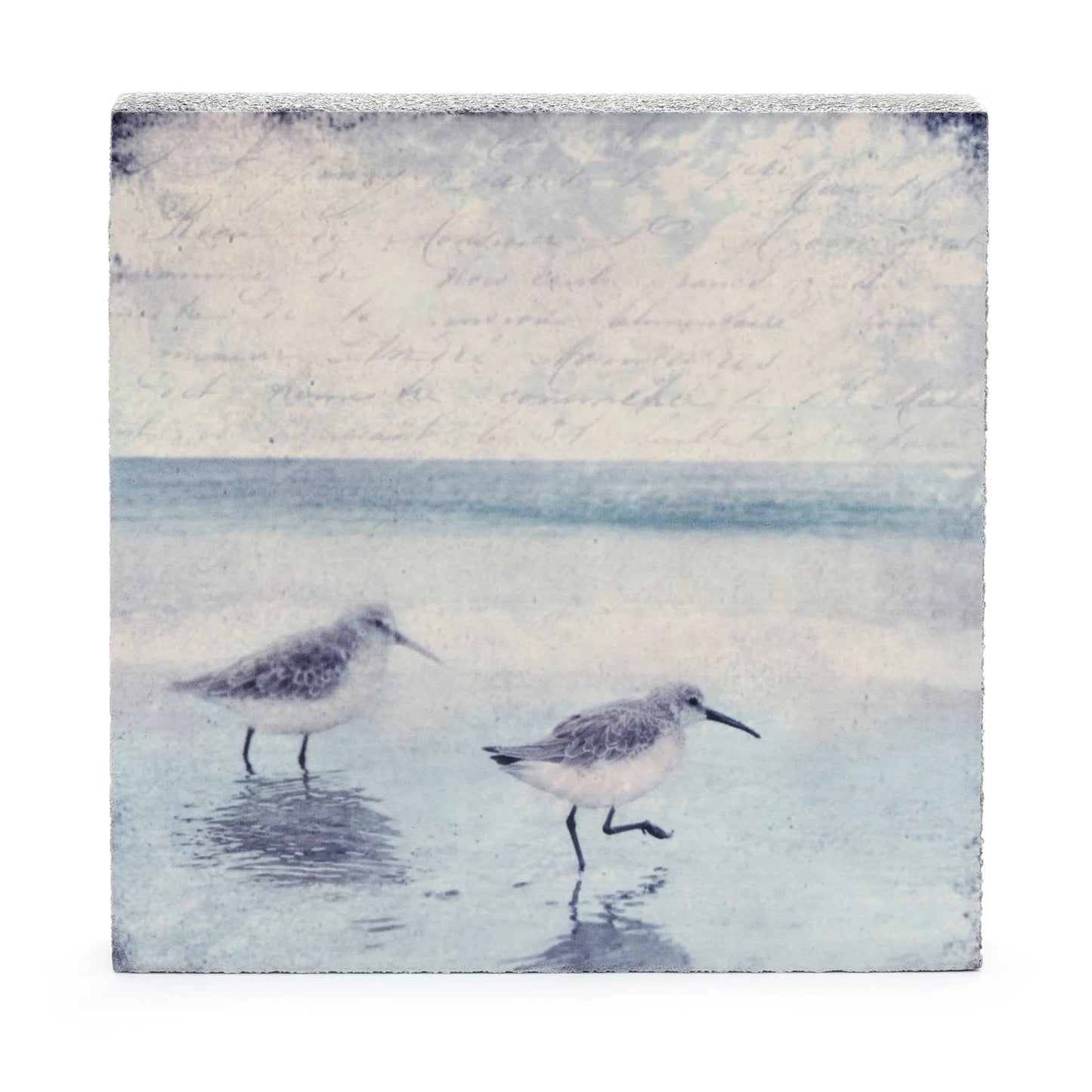 Sandpipers Art Block