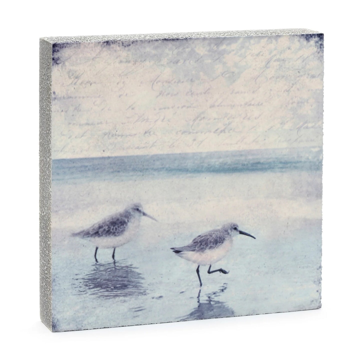 Sandpipers Art Block