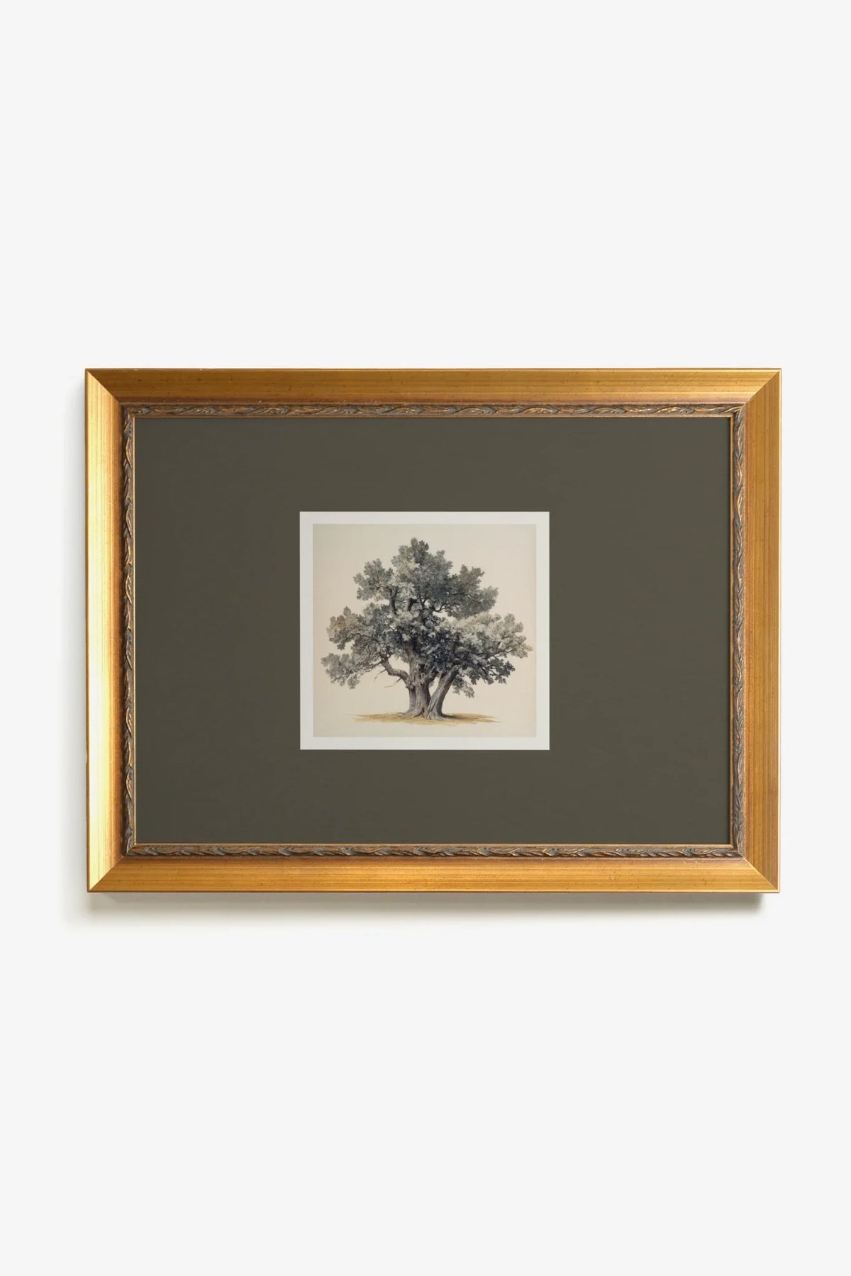 Wisdom Tree Framed Canvas Print 16 x 12